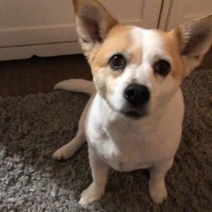 Meet your Posher, Deb